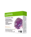 Herbalife Microbiotic Max Vanille 20 x 2g