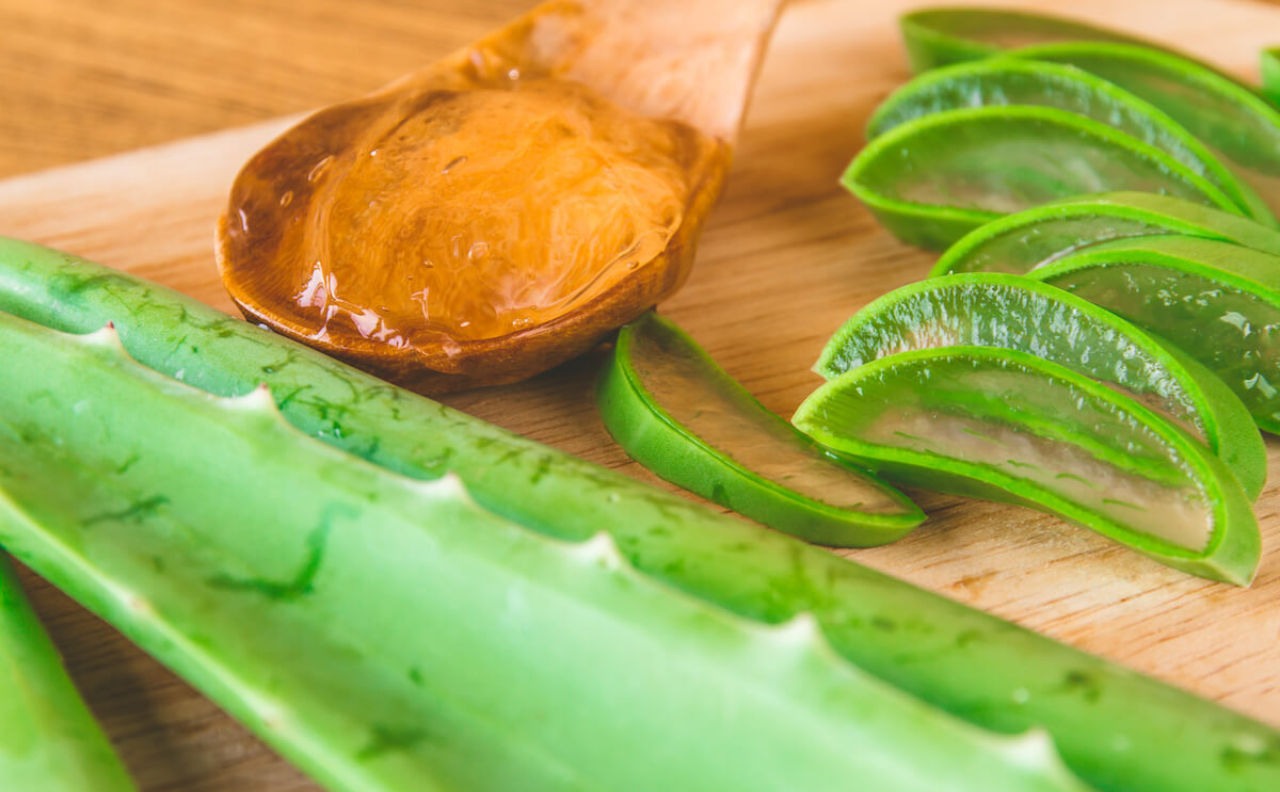 ​​¿Qué es el Aloe vera y para qué sirve?​ 