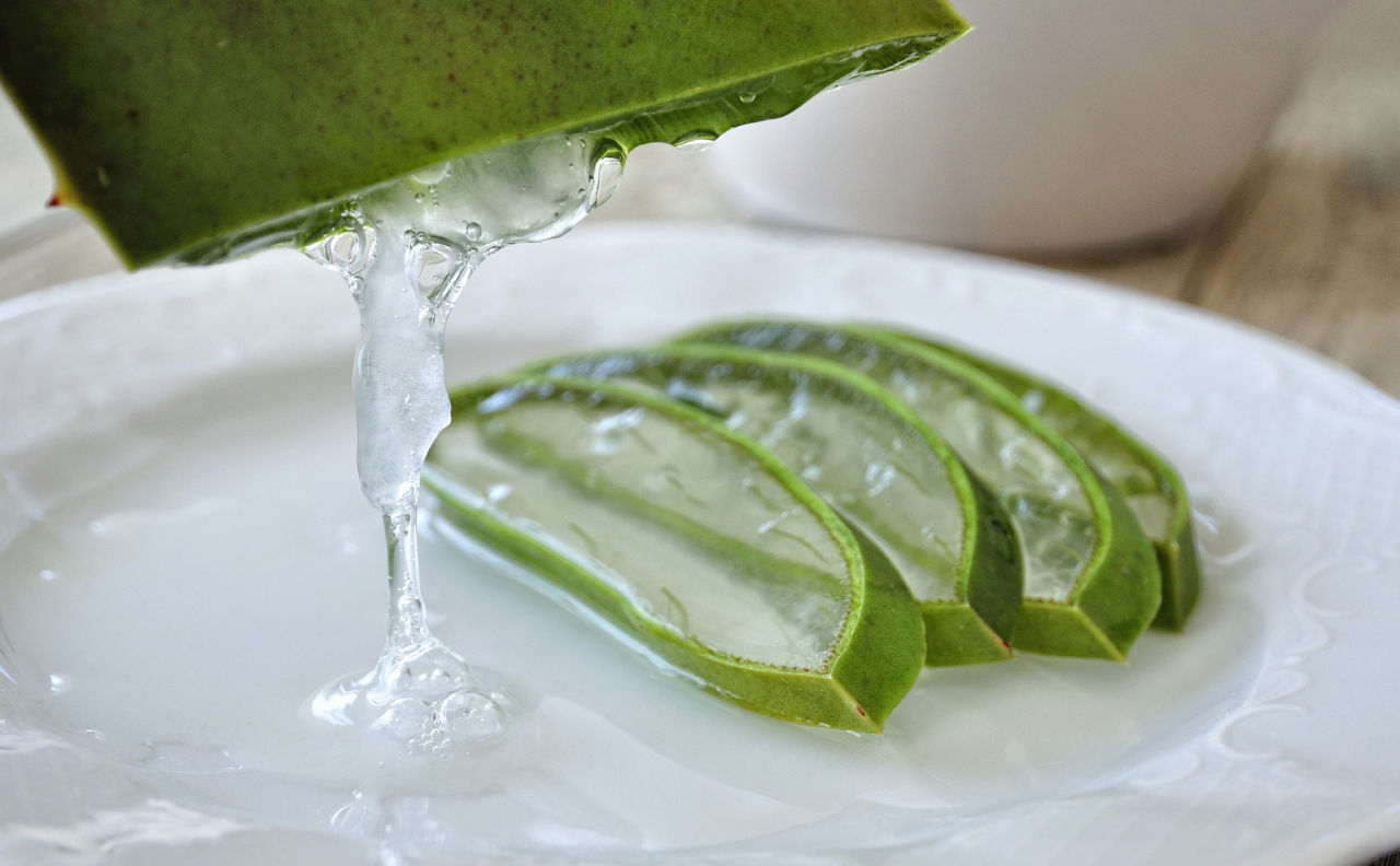 Aloe vera slices on a plate in a gel